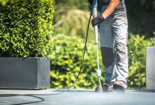Best Sidewalk and Walkway Pressure Cleaning in Newark, TX